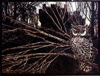 The Owl