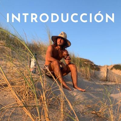 Introducción Introducción