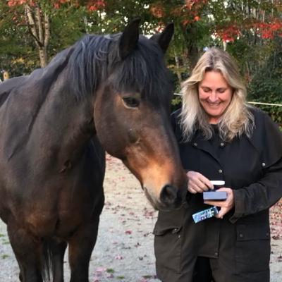 Sandra Wallin: Chiron's Way