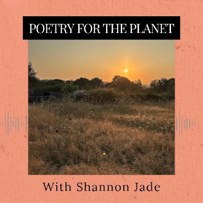 Episode 356: Poetry for the Planet