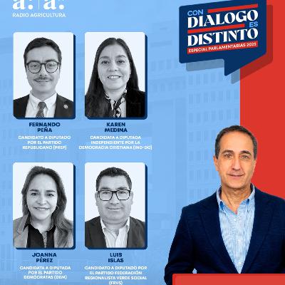 CDED Especial Parlamentarias 2025 | Distrito 21: Propuestas para la Región del Biobío — Ep.2