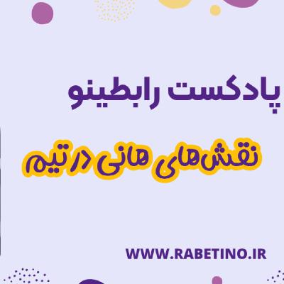 مدل نقشهای هانی در تیم