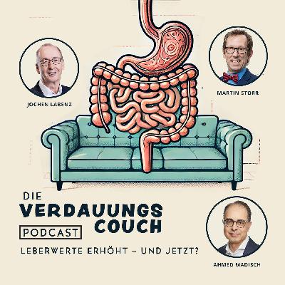 Leberwerte erhöht – und jetzt?