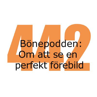 Bönepodden avsnitt 442 - Om att se en perfekt förebild