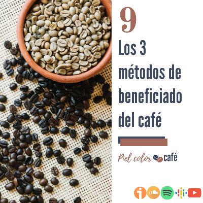 EP9. Los 3 métodos de beneficiado del café