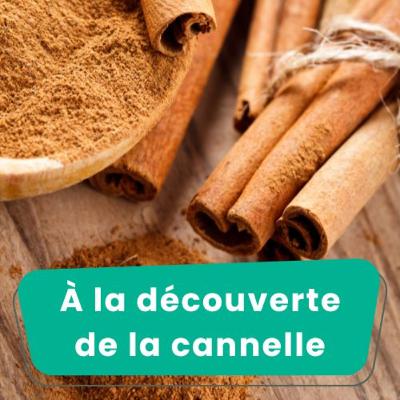 A la découverte de la cannelle, d'où vient-elle ?