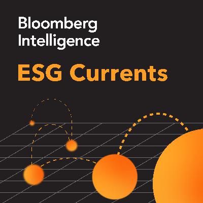 Why ESG Engagement Matters to Portfolio Management
