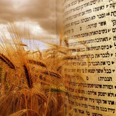 #30 Shavuot-Pentecost- 7 weeks and ONE day that CHANGED EVERYTHING #30 Shavuot-Pentecost- 7 weeks and ONE day that CHANGED EVERYTHING