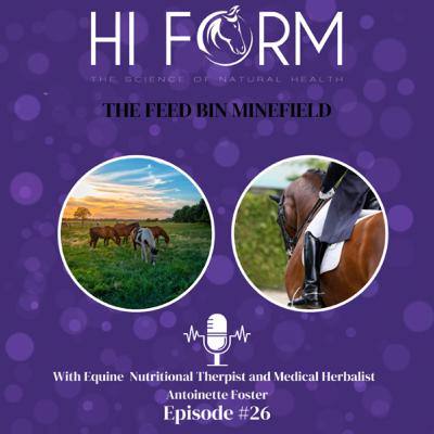 #26The Feed Bin Minefield