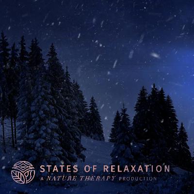 S2 E8: Mountain Blizzard Snowstorm to Fall Asleep FAST | Howling Wind Sounds in the Mountains: White Noise