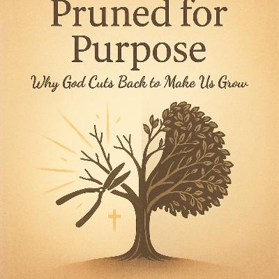 Why Most Catholics Stay Stuck | How to Break Free Spiritually