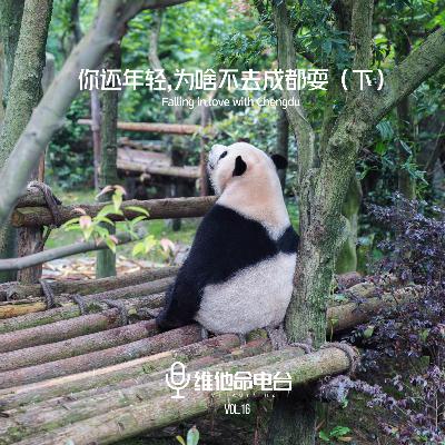 Vol.16 你还年轻，为啥不去成都耍（下）