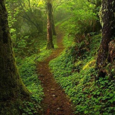 Mentorprojekt 7. Mihalik Judit