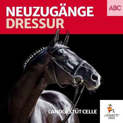 Neuzugänge Dressur Neuzugänge Dressur