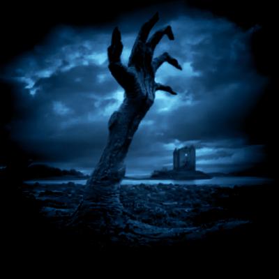 Bones On The Beach Bones On The Beach