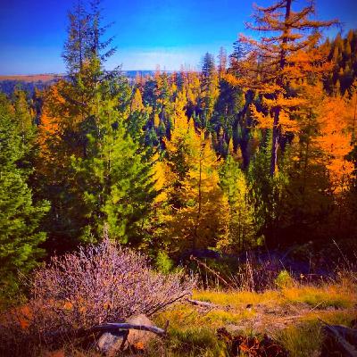 Episode 4, Topic: Getting to know your host part 2; Eastern Oregon Gems.