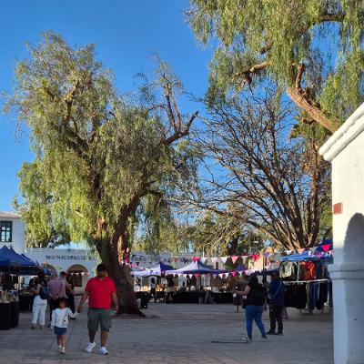 que o Elon Musk vá para Marte e não nos convide! que o Elon Musk vá para Marte e não nos convide!