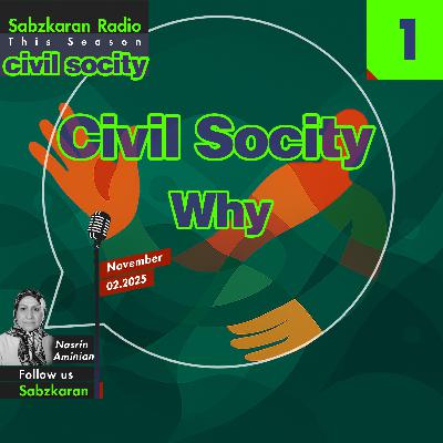 Civil Society - 1 - why