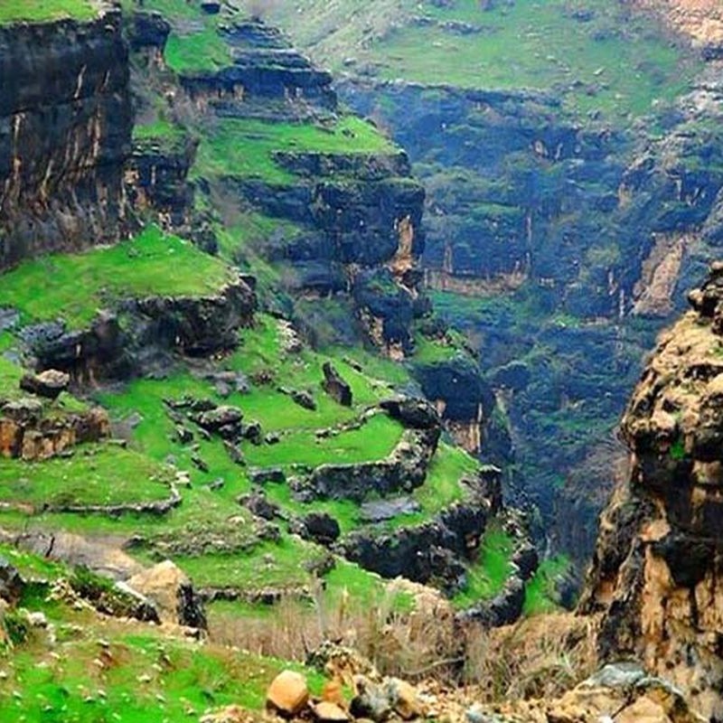 طبیعت گردی 
