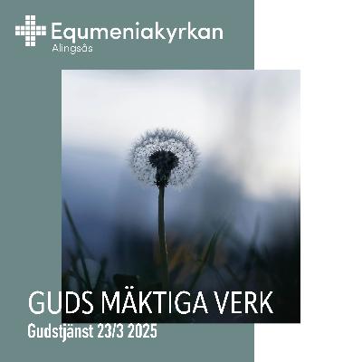 250323 - Guds mäktiga verk - Noomie Hammar