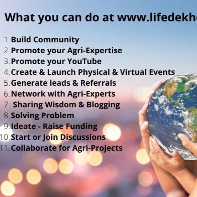 Life Dekho Living Solutions - Concept Cottages