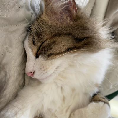 El podcast psicosocial