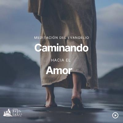 Caminando hacia el Amor Caminando hacia el Amor