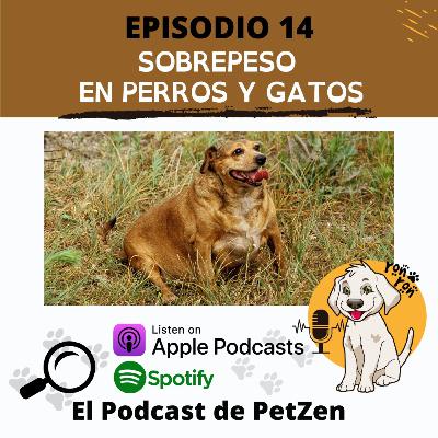 Episodio#14 Sobrepeso en perros y gatos