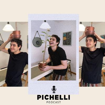 #29 PICHELLI HOUSE