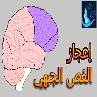 تحويل الفكرة إلى تجربة | معجزة الفص الجبهي في الدماغ