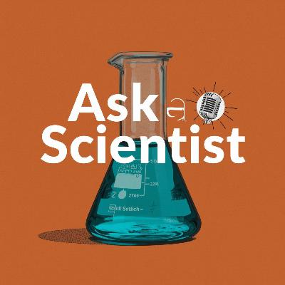 The Best Way to Harvest Light! | Dr. Valeria Kleiman