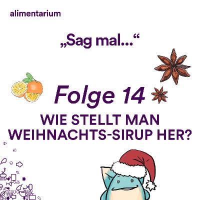 WEIHNACHT! Wie stellt man Weihnachts-Sirup her?