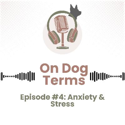 Anxiety and Stress In Dogs