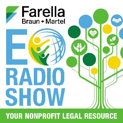138: AI Risks and Realities for Nonprofits: Traps for the Unwary and Tips for Avoiding Them