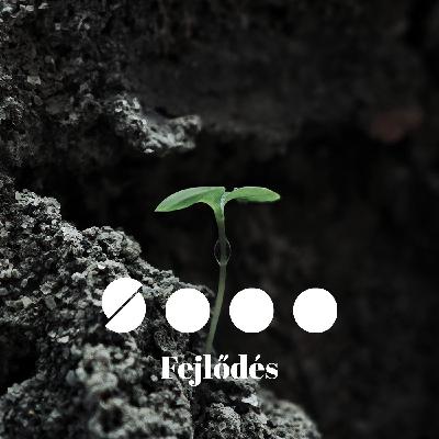 Mindenki a saját tempójában... | FEJLŐDÉS III