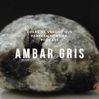 Ámbar Gris