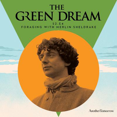 Foraging with Merlin Sheldrake