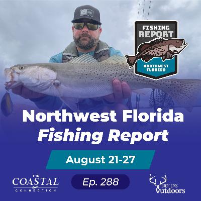 Late Summer Tactics: Offshore Marlin, Inshore Kings & Kayak Fishing Solutions