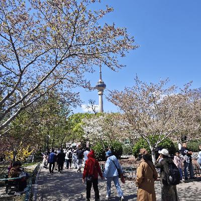 Qingming Festival holiday sees increased traveling, spending Qingming Festival holiday sees increased traveling, spending