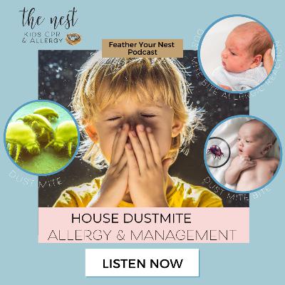 House Dustmite Allergy & Management House Dustmite Allergy & Management