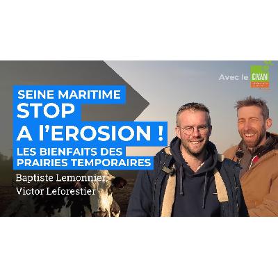 Prairies temporaires : un atout pour les sols et l’eau en Seine-Maritime