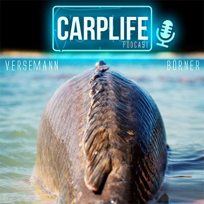 CARPLIFE #39 Gigantica
