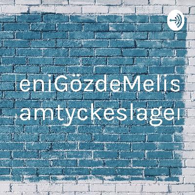 Samtyckeslagen