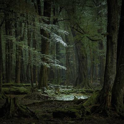 Creative Landscape Photography ft. Jackie Ranken & Mike Langford