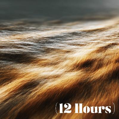 Delta Drift Brown Noise | Sleep Sound (12 Hours) Delta Drift Brown Noise | Sleep Sound (12 Hours)
