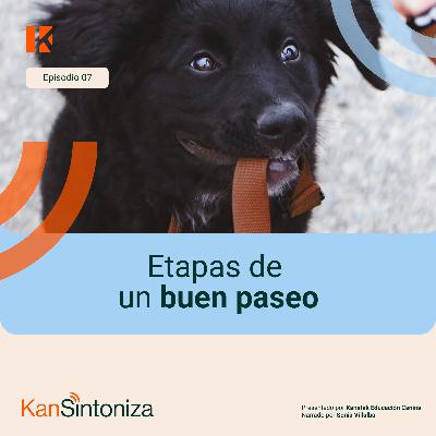 Etapas de un buen paseo