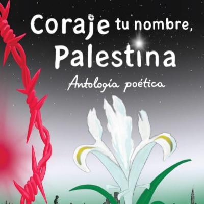 Capítulo 554, Libros para conocer mejor la realidad de Palestina.
