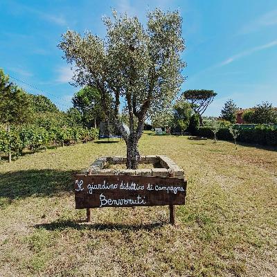 L'importanza dell'educazione in campagna. Con Riccardo di Giuseppe