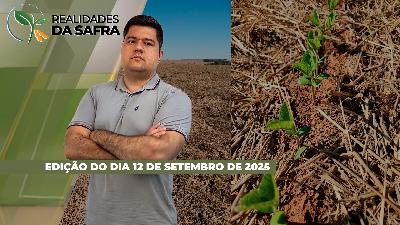 Rio Grande do Sul se divide entre manejo do trigo, plantio do milho e planejamento da semeadura da soja para outubro