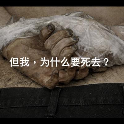 关于战争的诗——如果你满意，我们也满意；但我为什么要死？辛波斯卡《战争与结束》+兰德尔·贾雷尔《损失》+费尔南多·佩索阿《弈棋者》
